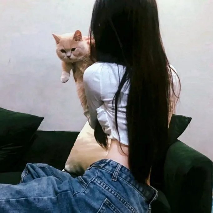 盗墓迷灵